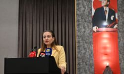 Başkan Vekili Özdemir’e turizmcilerden ziyaret! Turizmciler vergi çağrısında bulundu