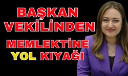 Büşra Özdemir Dirgen’den memleketine yol kıyağı