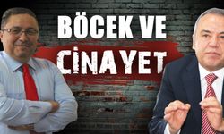 Antalya'nın gündemi: Böcek ve cinayet