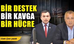 Bir destek Bir kavga Bir hücre