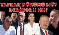 Yaprak dökümü mü? Dedikodu mu?