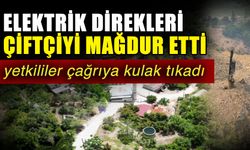 Elektrik direkleri çiftçiyi mağdur etti, yetkililer çağrıya kulak tıkadı