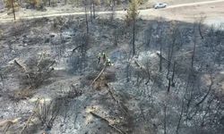 Denizli'de yanan 4 bin 108 hektar orman sahasında 2,5 milyon fidan yeşerecek
