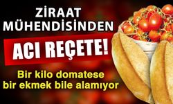 Ziraat mühendisinden acı reçete! Bir kilo domatese bir ekmek bile alamıyor