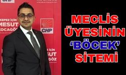 Meclis üyesinin ‘Böcek’ isyanı