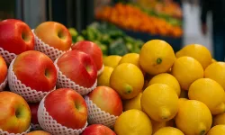 Limon, elma ve incir için kritik uyarılar