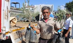 Antalya Büyükşehir Belediyesi’nden fidan desteği