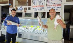 Antalya’da balıkçılar "Vira bismillah" dedi, tezgahlar şenlendi