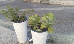 Antalya’da ilginç hırsızlık