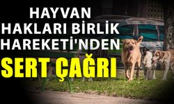 Hayvan Hakları Birlik Hareketi'nden sert çağrı
