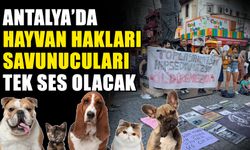 Antalya’da hayvan hakları savunucuları tek ses olacak