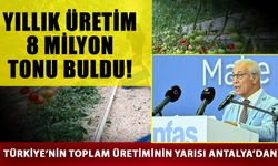 Yıllık üretim 8 milyon tonu buldu! Türkiye’nin toplam üretiminin yarısı Antalya’dan