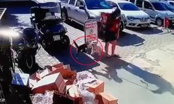 Kediyi tekmeledi tutuklandı