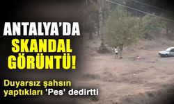 Antalya’da skandal görüntü! Duyarsız şahsın yaptıkları 'Pes' dedirtti