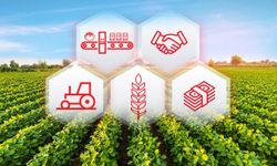 Aracının değil, üreticinin kazanması için öneri… Üretimde kooperatif modeline geçmeliyiz