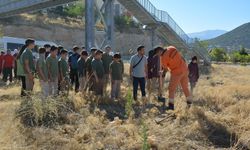 Korkuteli'nde öğrenciler 'Yeşil vatan' için fidan dikti