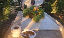 Acılı babadan köpek maması tepkisi