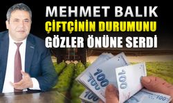 Mehmet Balık çiftçinin durumunu gözler önüne serdi