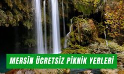 Mersin Ücretsiz Piknik Yerleri: Merkeze Yakın Mangal Alanları!