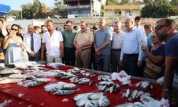 Muğla'da balıkçılar, 'Vira Bismillah' deyip denize açıldı