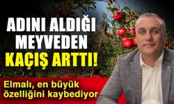 Adını aldığı meyveden kaçış arttı! Elmalı, en büyük özelliğini kaybediyor