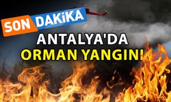 Antalya'da orman yangını