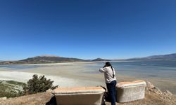 Türkiye'nin 4'üncü büyük gölü kuraklık nedeniyle ortadan ikiye bölündü