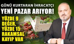 Günü kurtaran ihracatçı, yeni pazar arıyor! Yüzde 9 değer, yüzde 15 rakamsal kayıp var