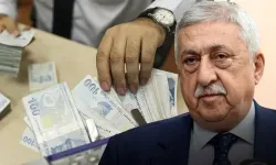 Palandöken: "Kredi kartı ve temettü faizleri düşürülmeli"
