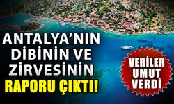 Antalya’nın dibinin ve zirvesinin raporu çıktı! Veriler umut verdi