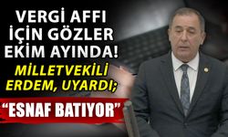 Vergi affı geldi mi? Vergi affı ne zaman gelecek? Vergi affı kimleri kapsıyor?