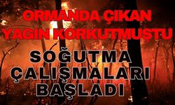 Otellere yakın ormanlık alanda çıkan yangın korkutmuştu… Kontrol altına alındı