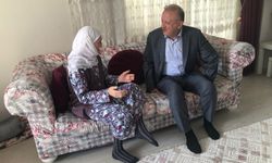2 padişah, 12 cumhurbaşkanı ve 27 başbakan gören çınara pasta kesildi