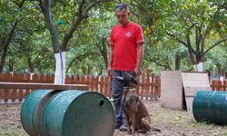 Arama kurtarma köpeği Tina, Antalya’ya bir ilke imza attı