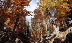 Adeta doğa sanata dönüştü