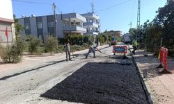 Akdeniz'in ulaşımda konforlu yükselişi devam ediyor