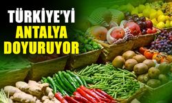 Türkiye’yi Antalya doyuruyor