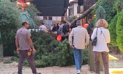 Antalya'da fırtına paniği: 3 kişi devrilen ağacın altında kaldı