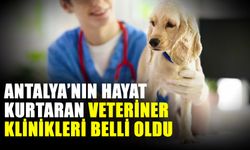 Antalya’nın hayat kurtaran veteriner klinikleri belli oldu