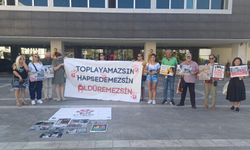 Attalos Pati Gönüllüleri’nden Hayvan Hakları Yasası protestosu: "Yasadan derhal vazgeçilmelidir"