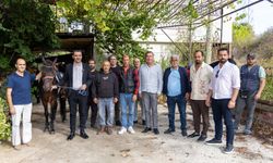 Başkan Vekili Çiçek’ten rahvan at yarışları öncesi ziyaret