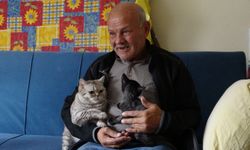 Sokak köpeğinin saldırısına uğrayan adamın koluna 10 dikiş