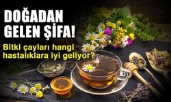 Doğadan gelen şifa! Bitki çayları hangi hastalıklara iyi geliyor?