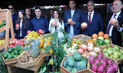 Sabırsızlıkla beklenen Çekirdeksiz Nar ve Tropikal Meyve Festivali start verdi