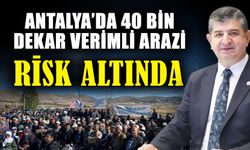 Antalya’da 40 bin dekar verimli arazi risk altında