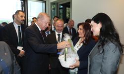 Aydın Büyükşehir Belediye Başkanı Çerçioğlu'ndan Erdoğan’a Aydın inciri hediyesi
