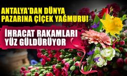 Antalya'dan dünya pazarına çiçek yağmuru! İhracat rakamları yüz güldürüyor