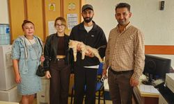 Çip sayesinde kayıp kedi kısa sürede sahibine kavuştu