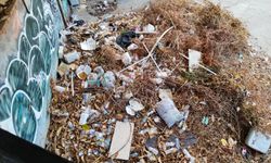 Muratpaşa'nın en işlek çarşısı çöp sorunu ile savaşıyor