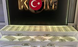 Denizli'de sahte para operasyonu… 35 bin 100 dolar banknot ele geçirildi